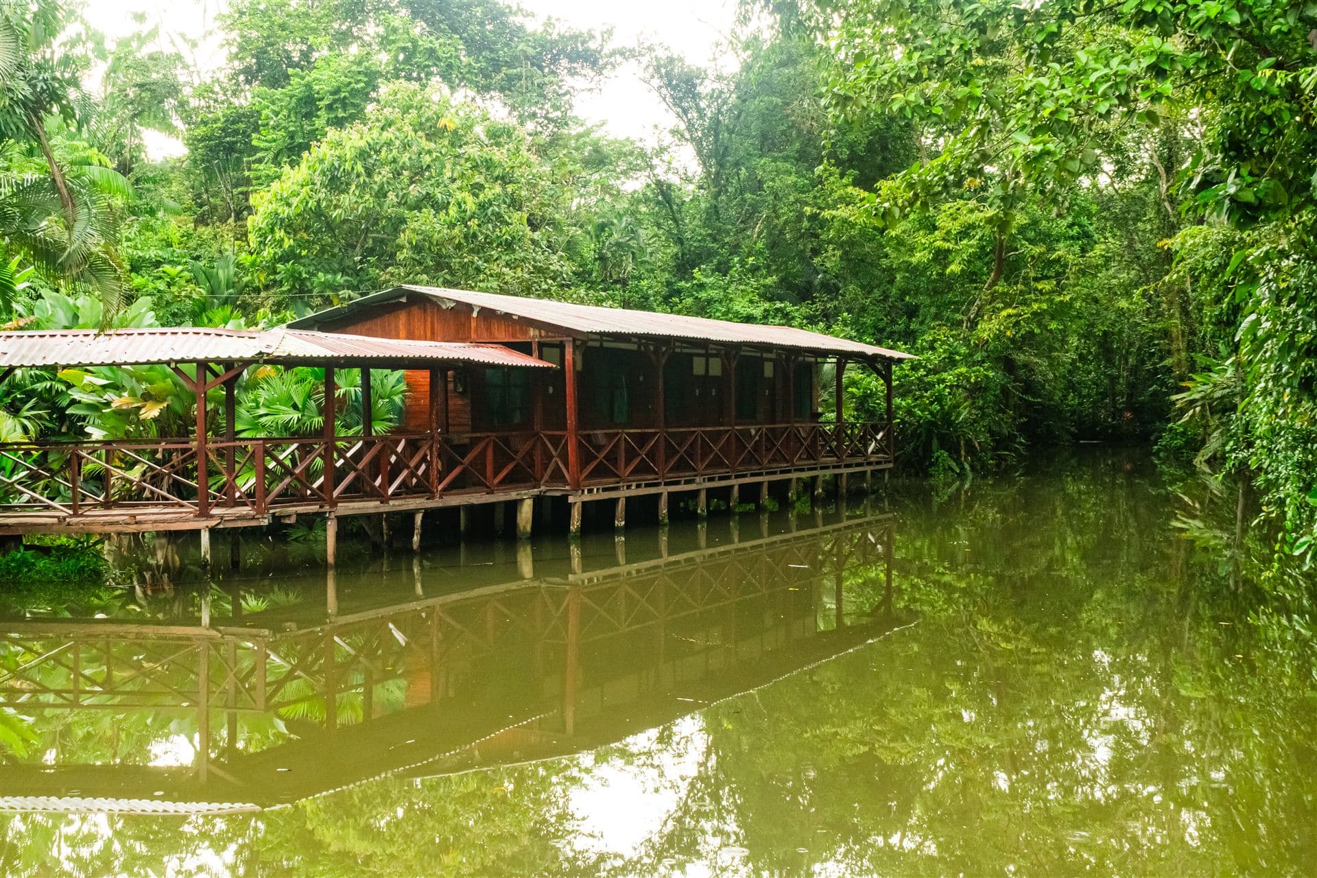 Inspiración salvaje